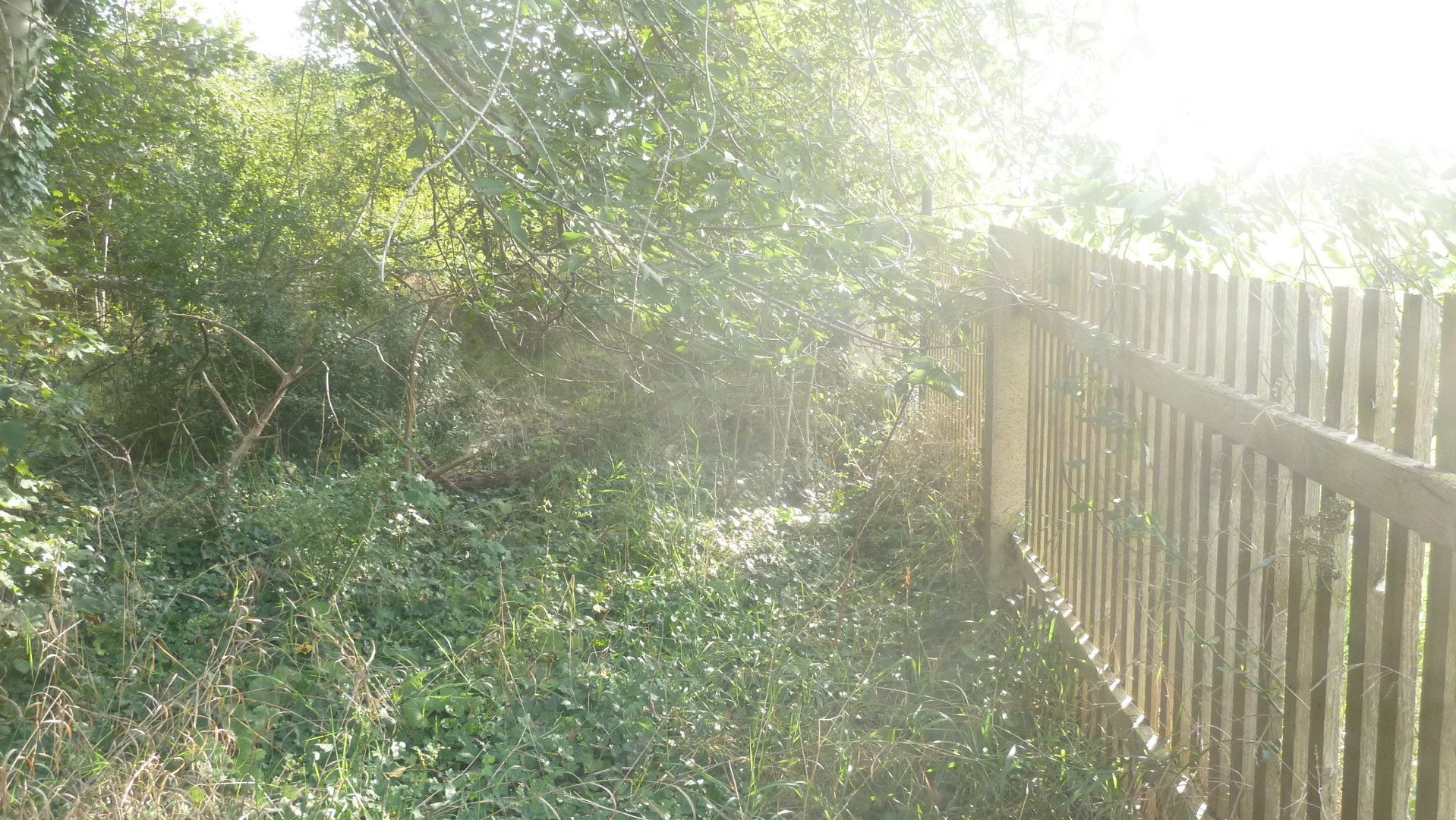 Teilbeseitigung schadhafter Dachbereiche- 