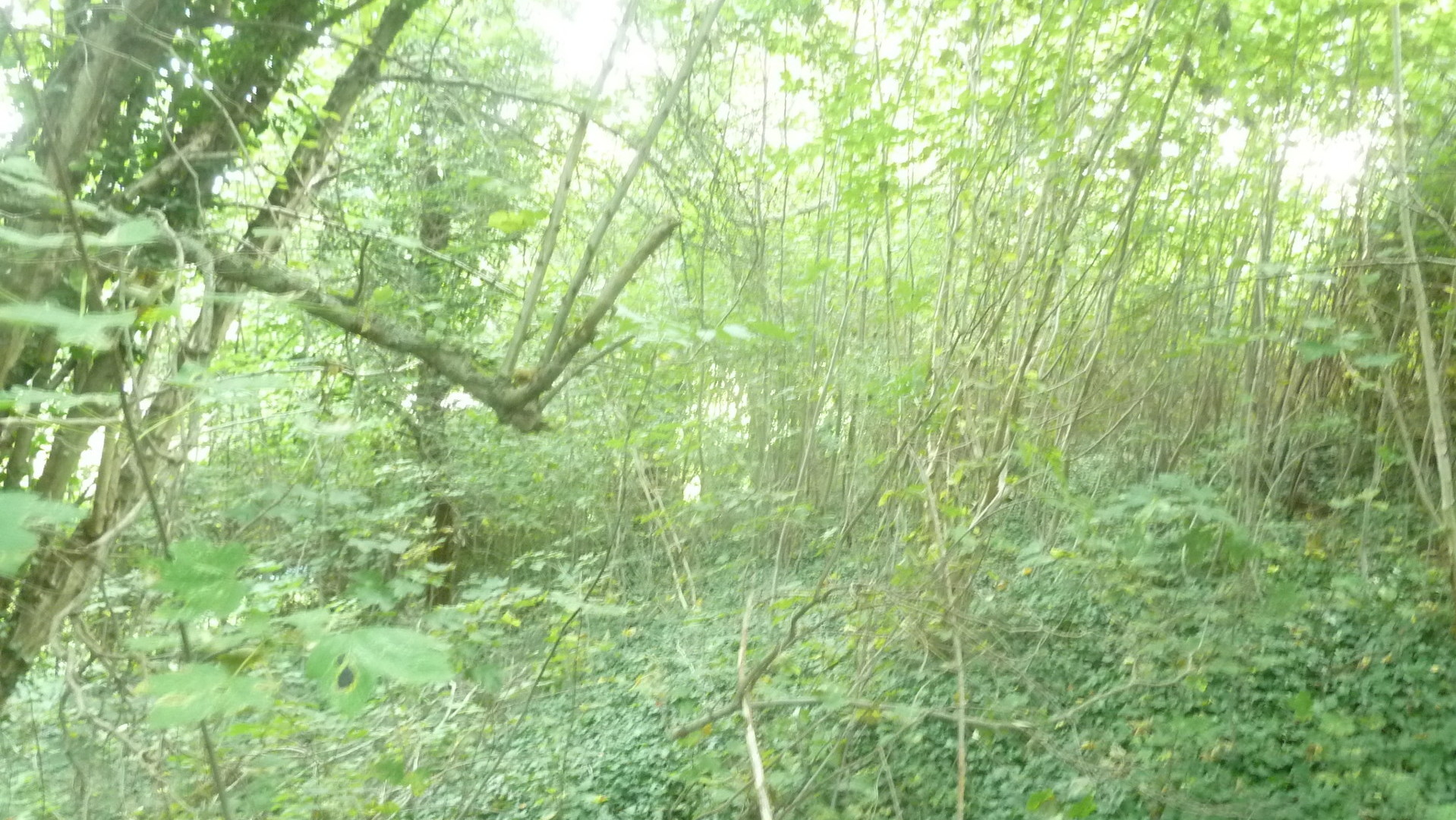 Die Geb&auml;udegr&ouml;&szlig;e misst ca- 69-52 m&sup2; 