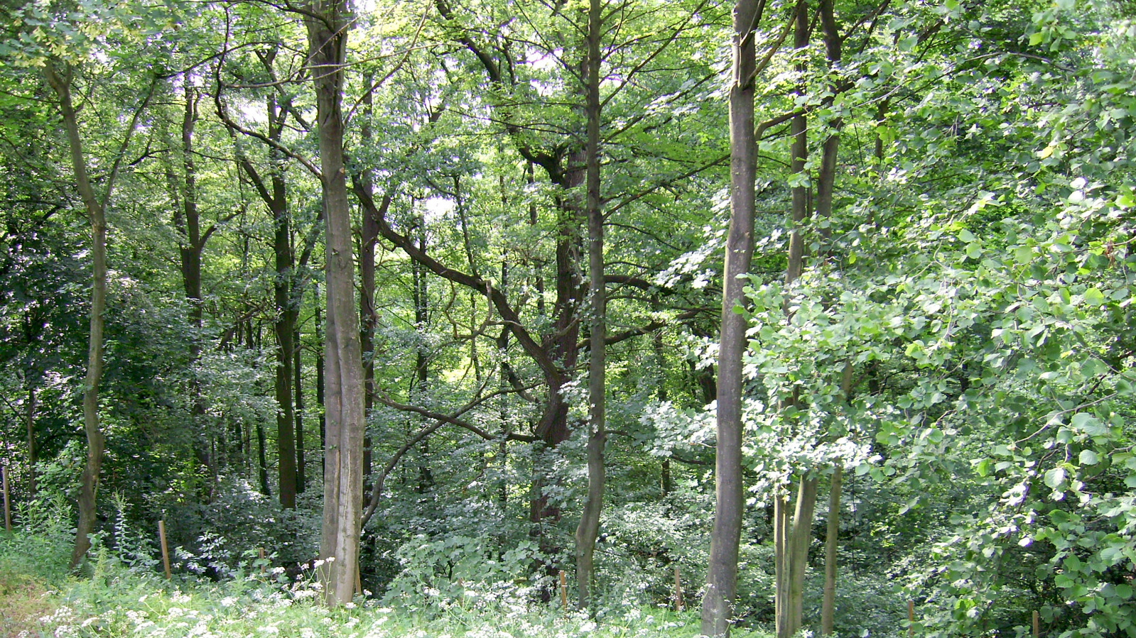 zuz&uuml;glich der Veranda mit ca- 20-93 m&sup2;- 