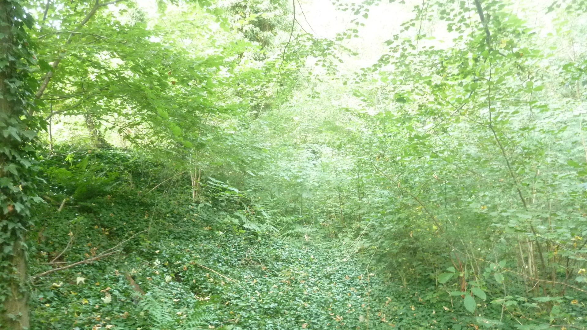 Die &auml;u&szlig;ere L&auml;nge betr&auml;gt ca- 17-6 m- die Breite ca- 4-0 m- 