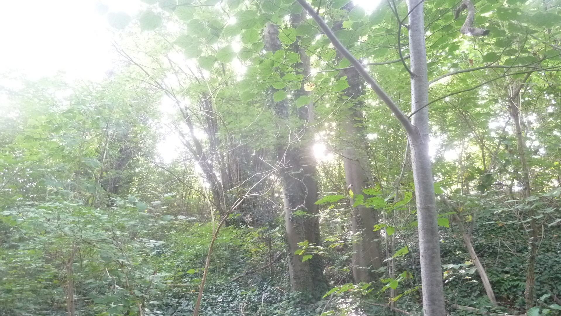 Das Grundst&uuml;ck ist durch das Finanzamt grundsteuerlich erfasst-