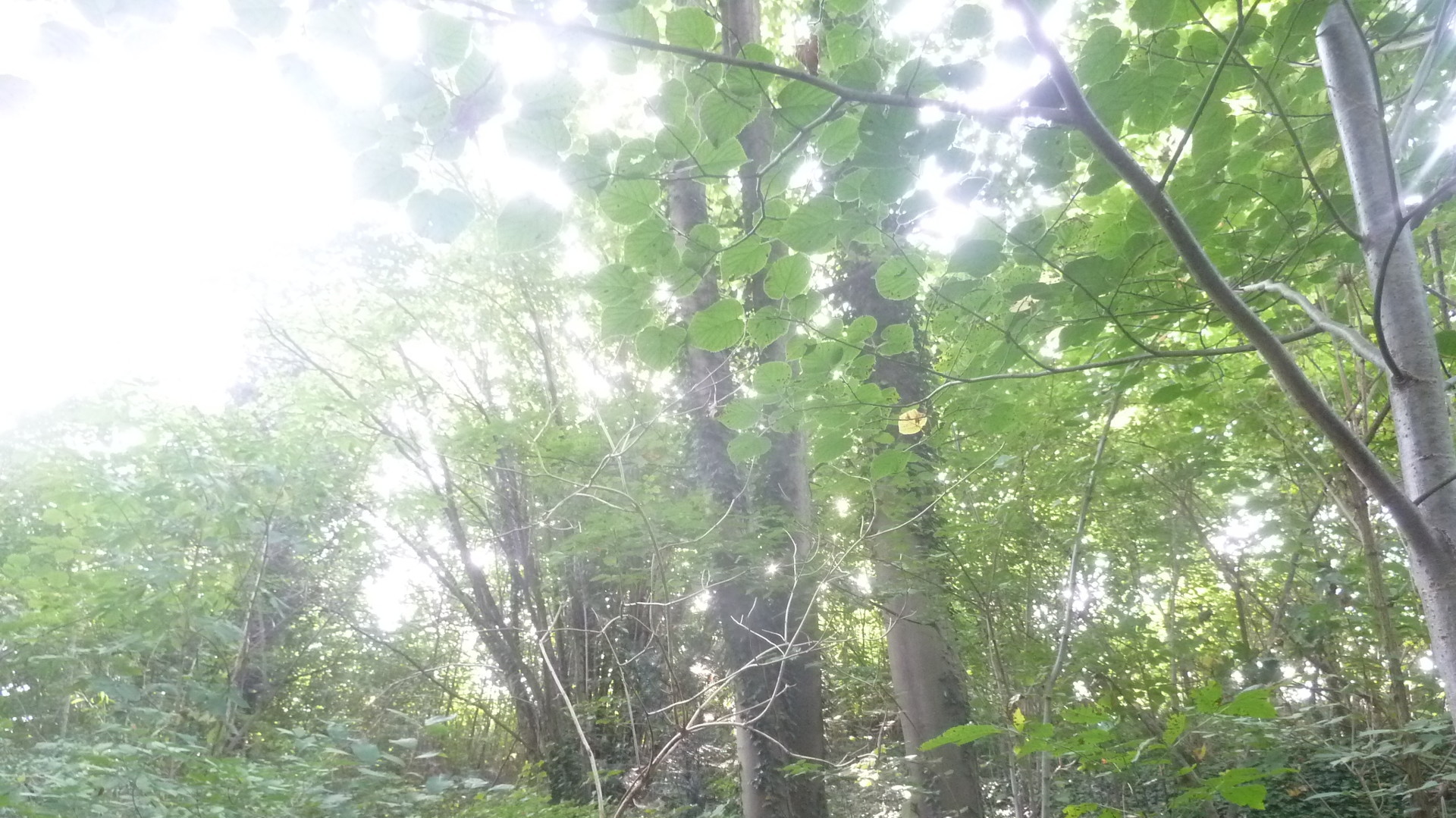 Das Baujahr ist h&ouml;chstwahrscheinlich 1935- 