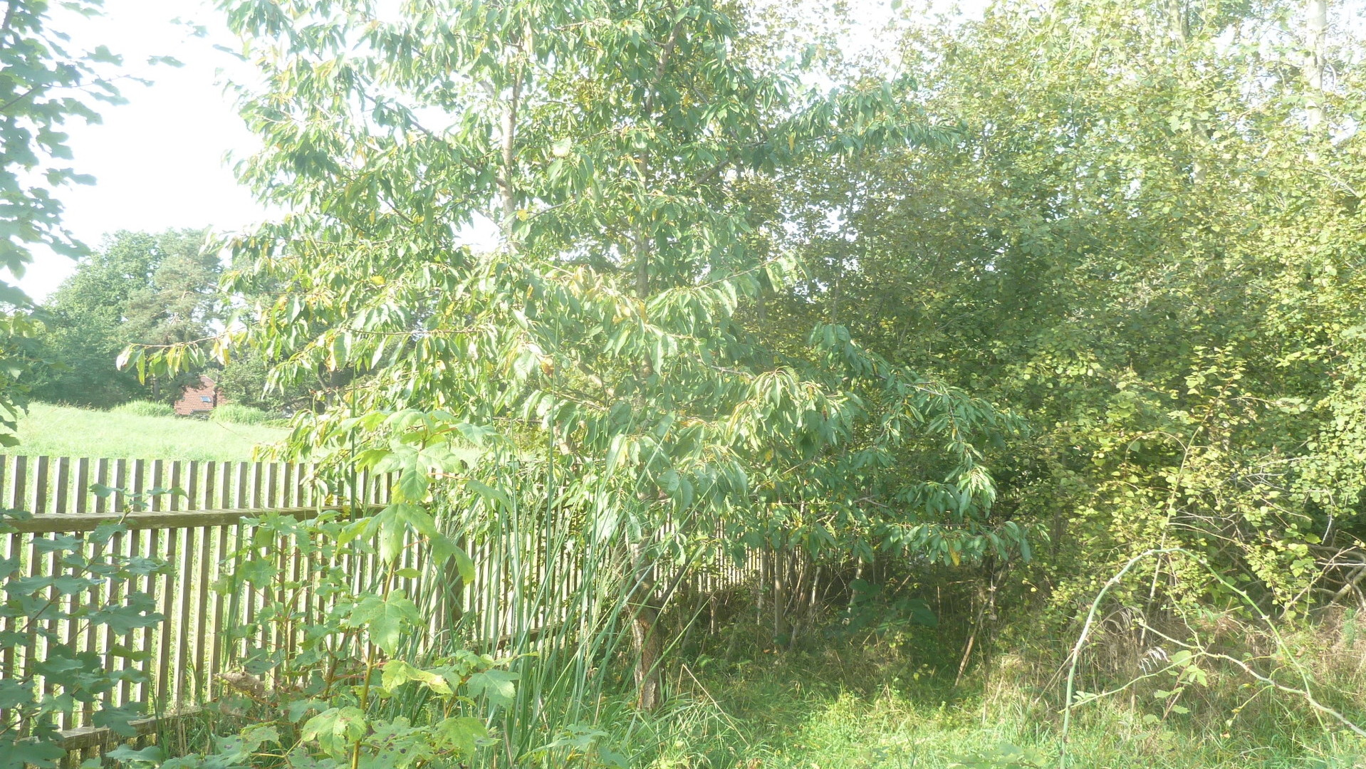 Erweiterungen erfolgten im Jahr 1956 