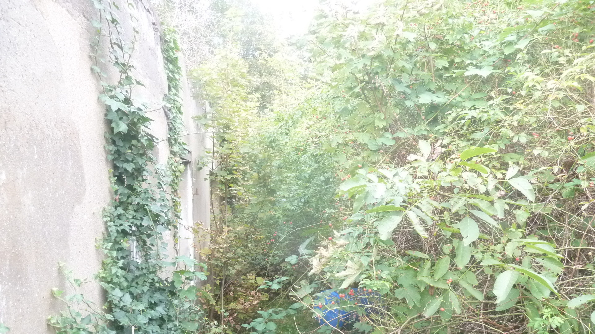 Ausgestattet ist die Immobilie mit 1 Wohnzimmer- 