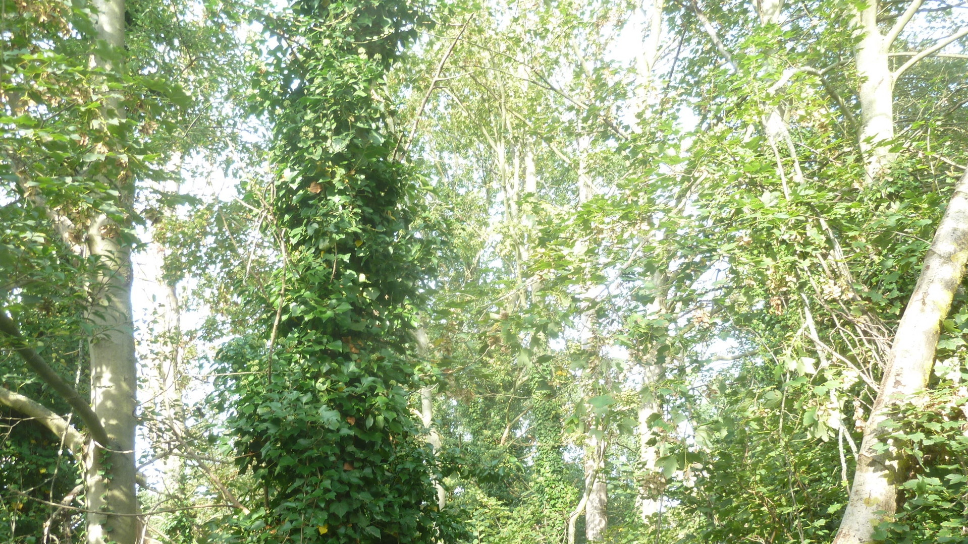 1 K&uuml;che- 1 Veranda und einem Dachboden- 