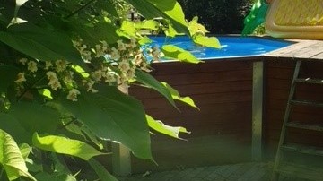 21_nachhause-immobilien_ef311c48-8053-4cf3-b1d7-48c547f7c12d_bild Reserviert ... Ein moderner Wohntraum mit Swimmingpool, Ausbaureserve und gro&szlig;em Garten