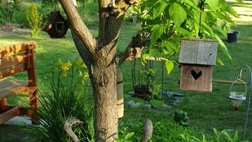 28_nachhause-immobilien_d6587234-4c64-4596-b812-cc0be473e4a4_bild Reserviert ... Ein moderner Wohntraum mit Swimmingpool, Ausbaureserve und gro&szlig;em Garten