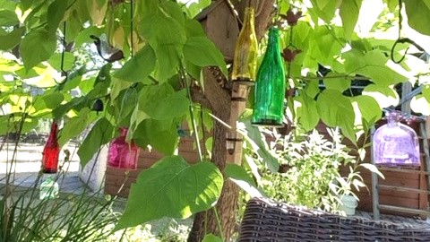 48_nachhause-immobilien_b6aa00e4-5daa-43bb-8619-4ad45e397521_bild Reserviert ... Ein moderner Wohntraum mit Swimmingpool, Ausbaureserve und gro&szlig;em Garten