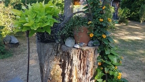 50_nachhause-immobilien_f01083ca-0ef3-4b3c-9eed-9879e868b468_bild Reserviert ... Ein moderner Wohntraum mit Swimmingpool, Ausbaureserve und gro&szlig;em Garten