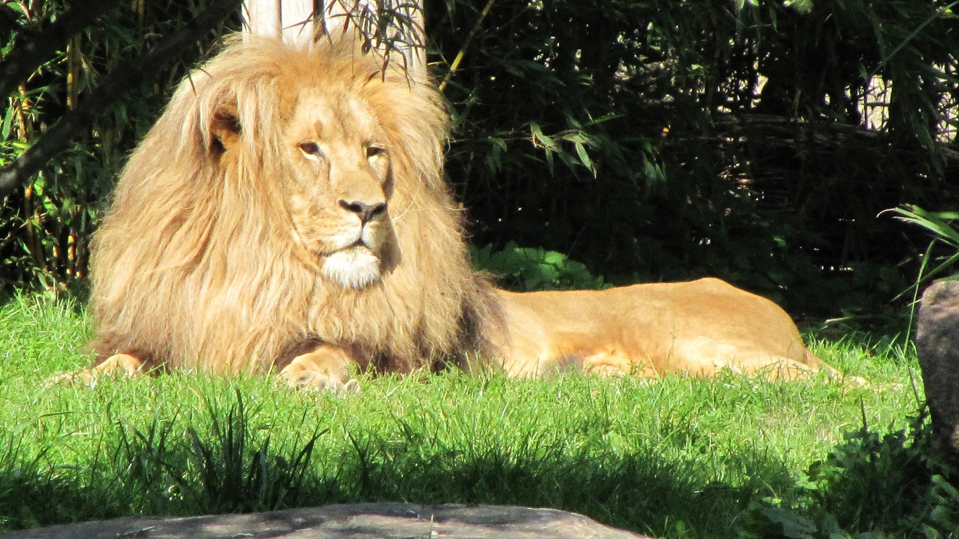 Und Leipzig ist durch seinen artenreichen Zoo weltweit bekannt.