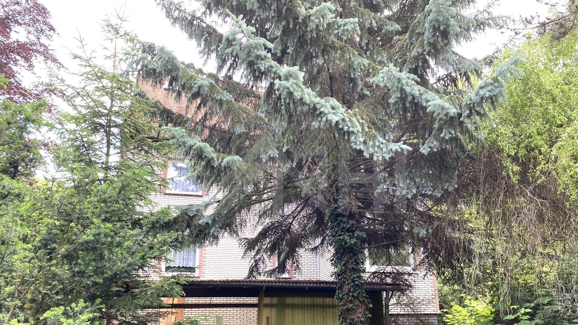 04_nachhause-immobilien_e4f92872-b1c1-4eb6-85a1-bfedb79404fb_bild Gartenstadt und Industrieromantik ... Zweifamilienwohnhaus mit viel Potential