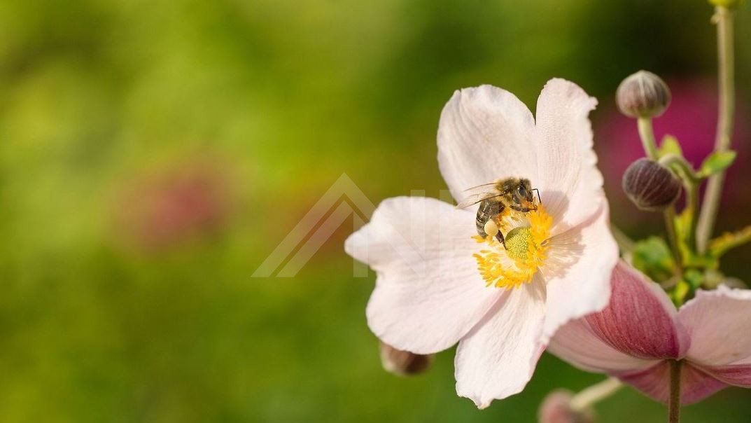 des Stadtteils Connewitz 