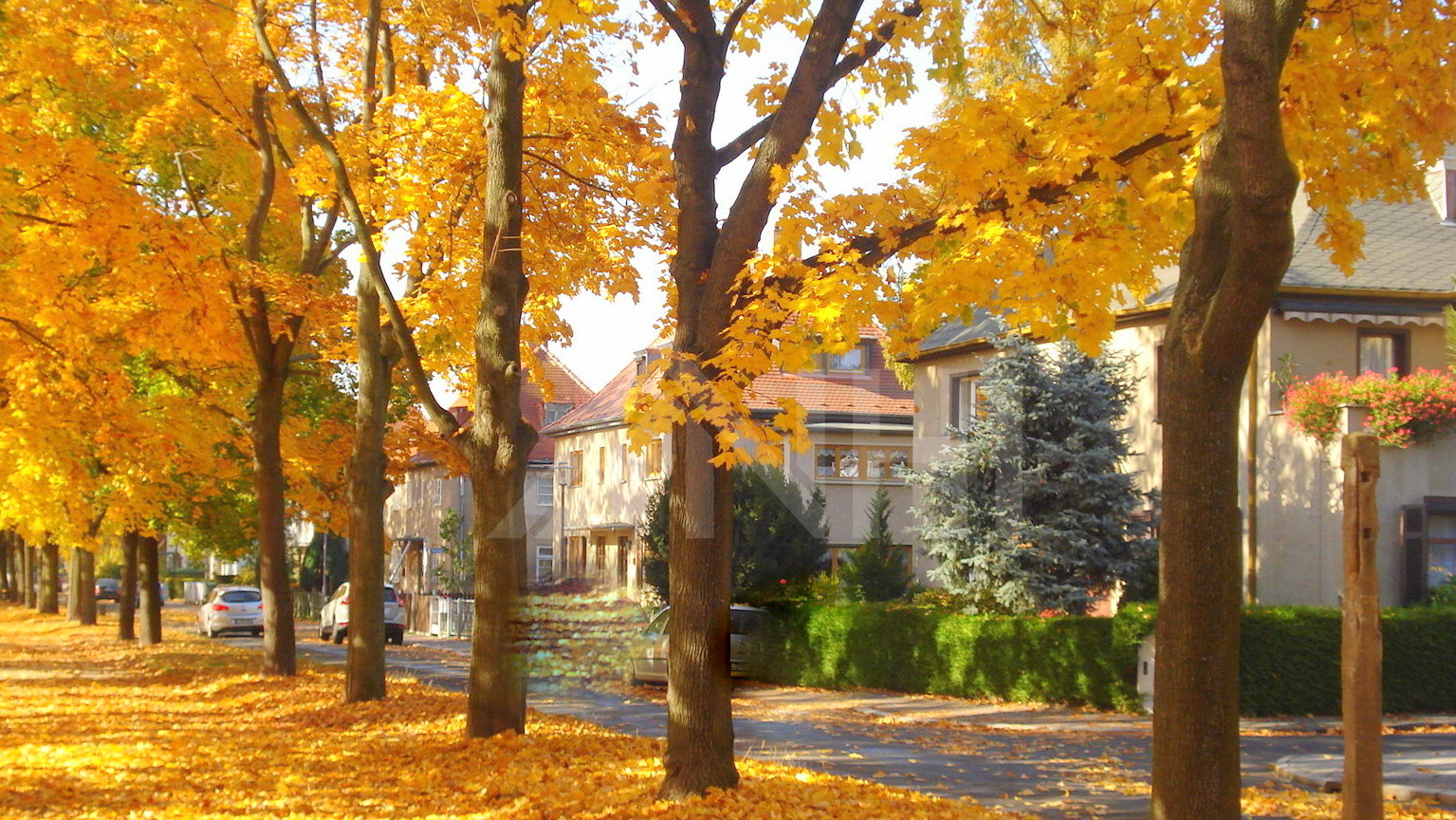 G&auml;rten mit knackig roten