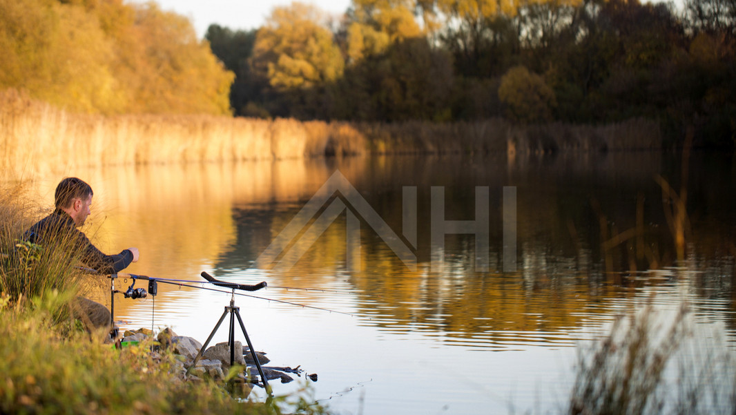 Pflanzen in pr&auml;chtig