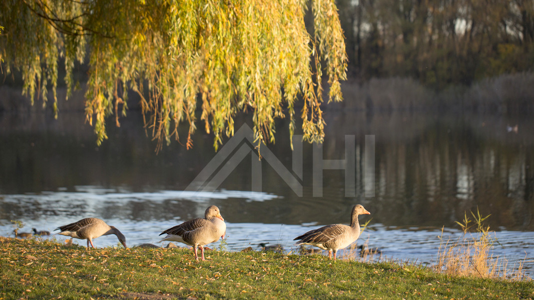 angenehm-harmonische Wohnatmosph&auml;re.