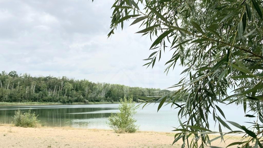 Badeseen der Region Badeseen der Region