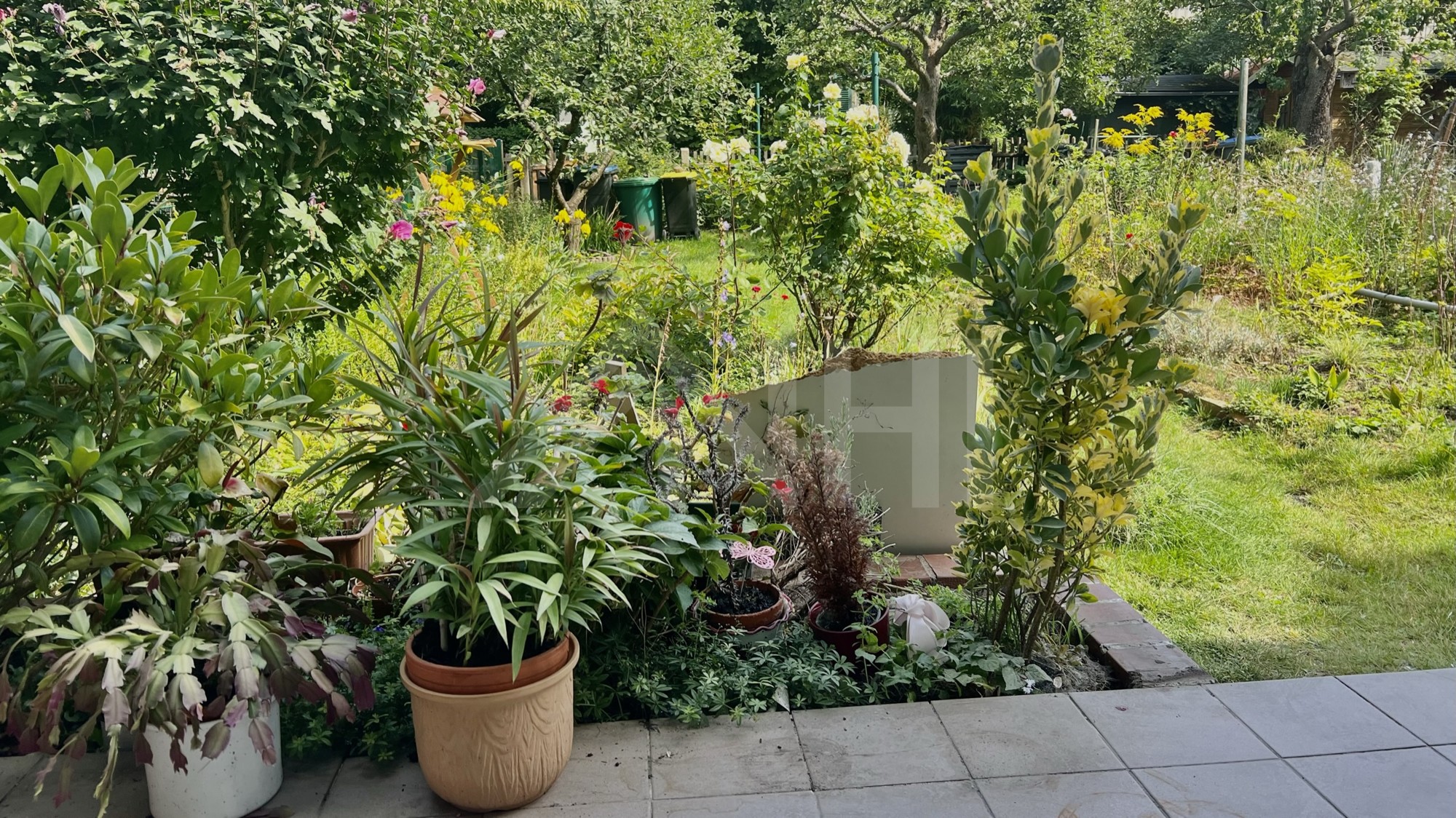 steht ein Einfamilienwohnhaus