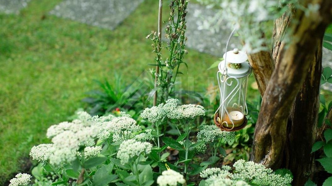 Weidenbach und Tschammer 