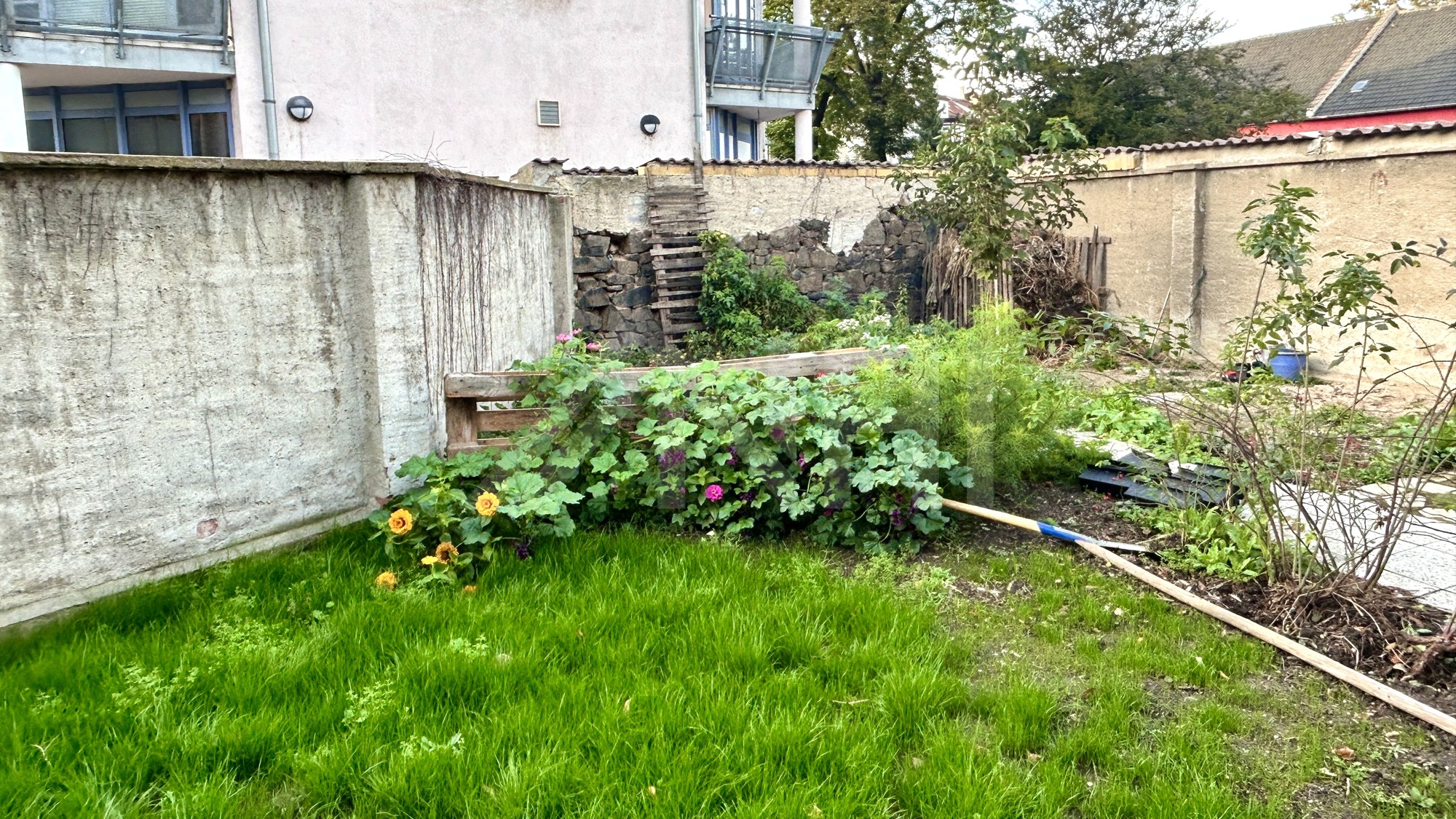 05_nachhause-immobilien_7e6bd2a6-2138-4a97-b94e-d5e202691ff2_bild AfA - Investoren aufgepasst ... Historisches Mehrfamilienwohnhaus in der Domstadt Wurzen