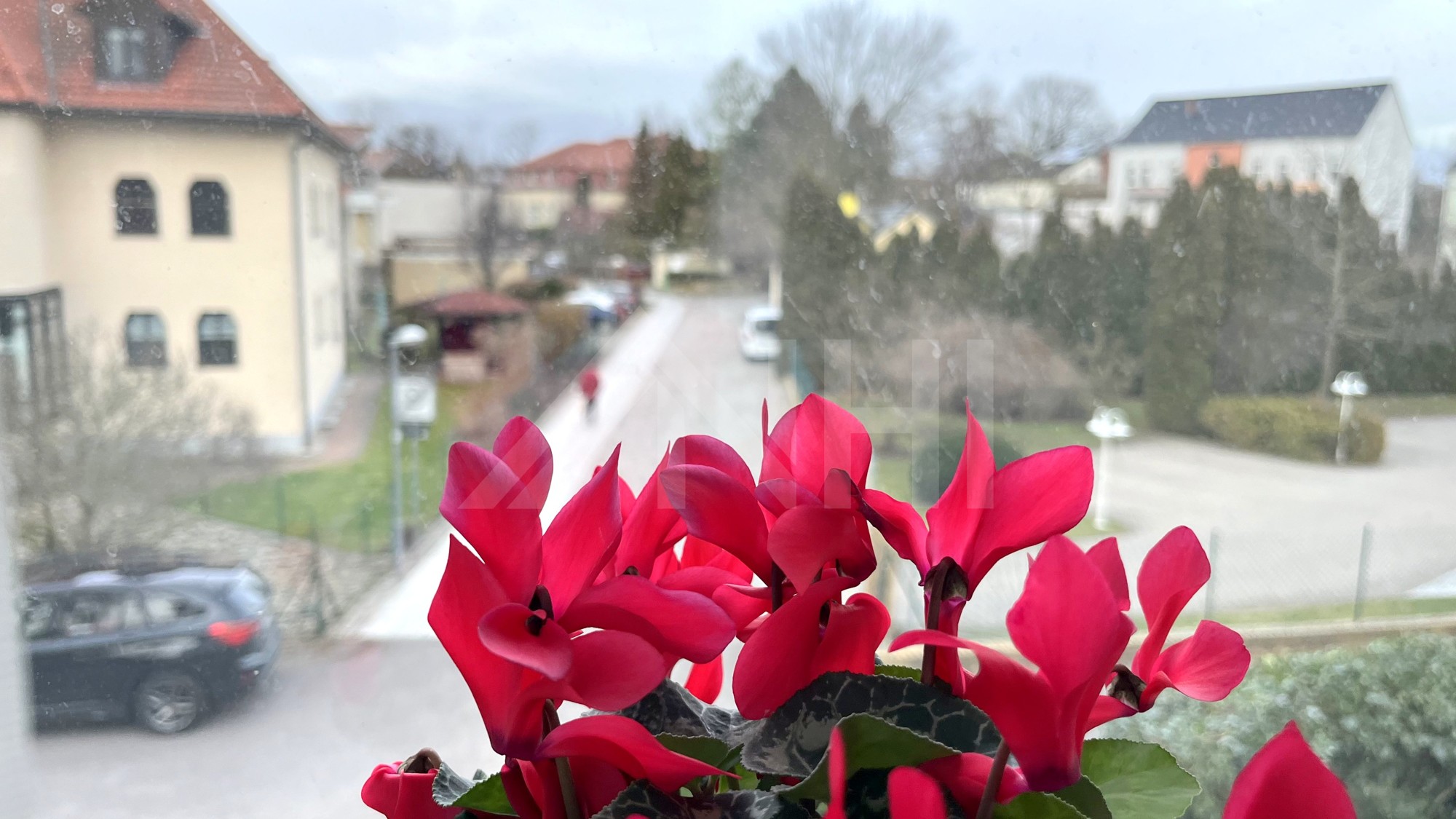 11_nachhause-immobilien_1c630738-08b2-4293-b04e-ab34f41fcb0d_bild Top- Rendite, Top-Zustand, Top-Mieter ... SORGLOS Mehrfamilienwohnhaus in Wittenberg
