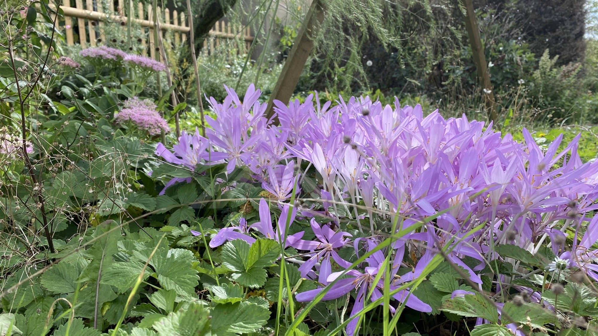 renovierungsbed&uuml;rftiges 