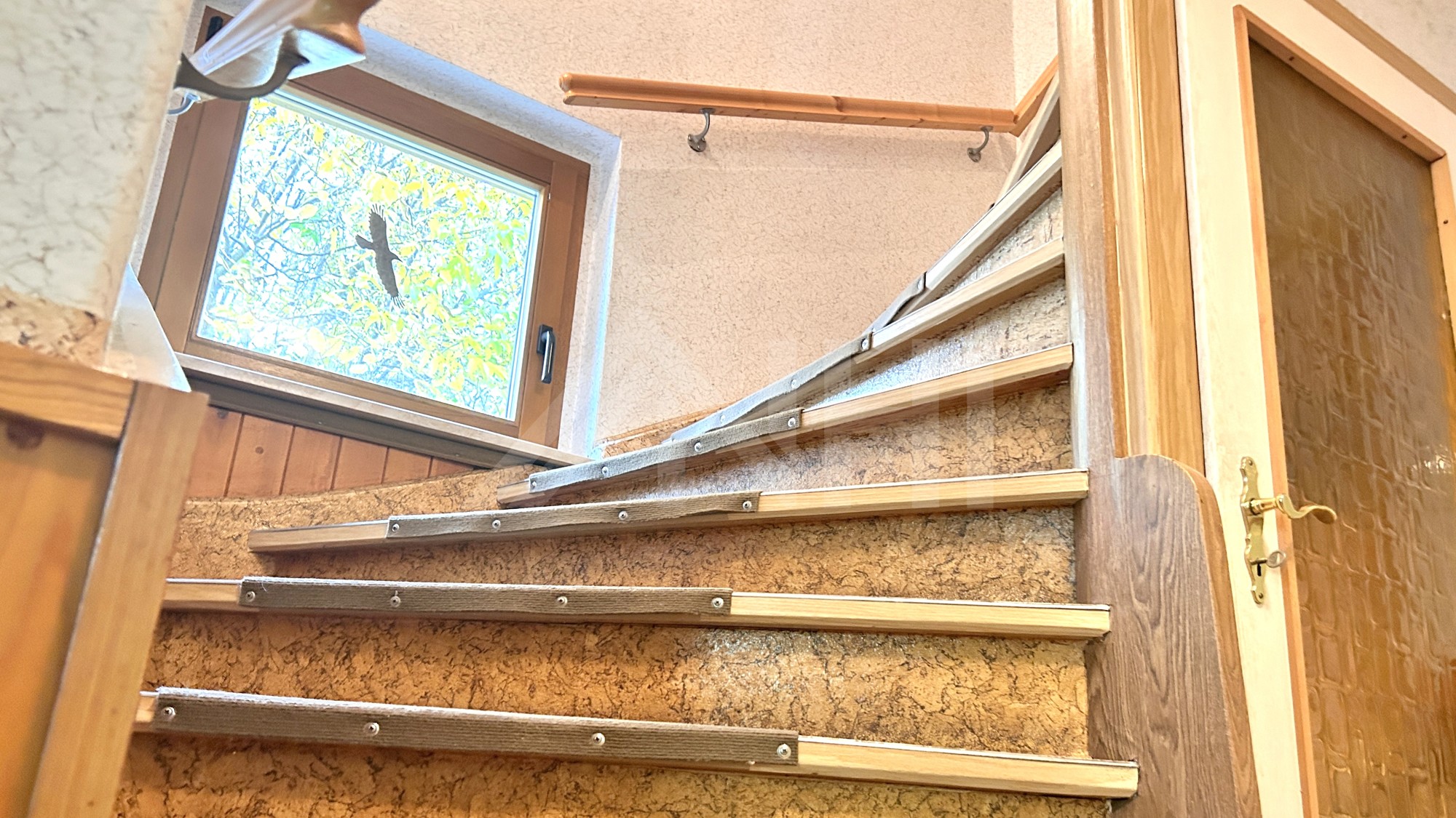 Haus bietet Platz f&uuml;r 