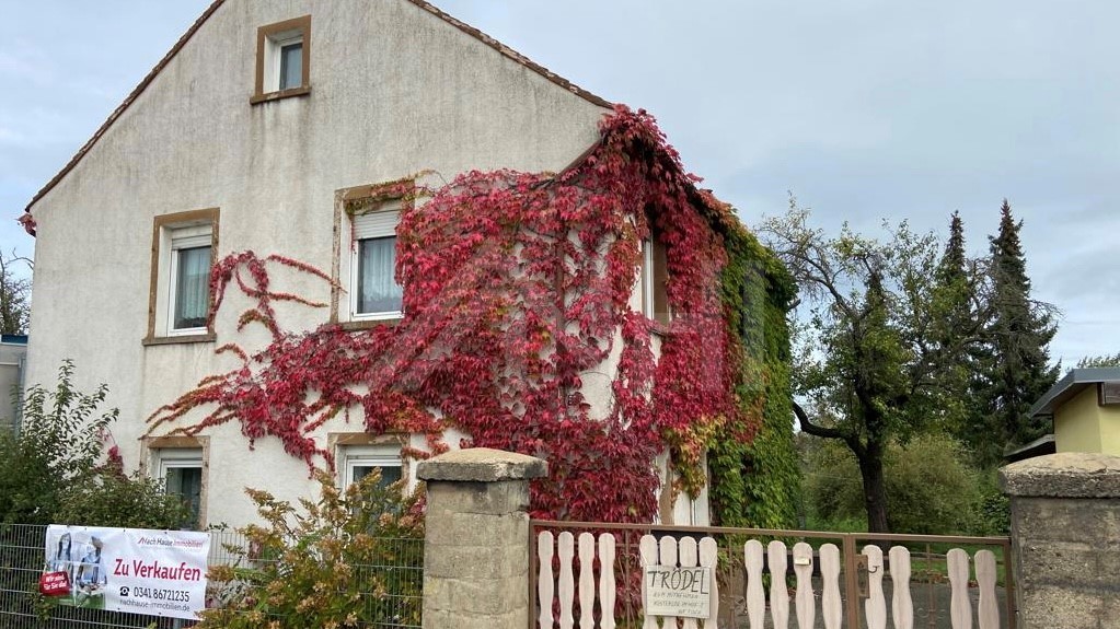 03_nachhause-immobilien_b2a28c4c-6fed-499b-99c8-17bb1330bb1f_bild Optimal f&uuml;r eine junge Familie, die das Wohnen im Gr&uuml;nen sch&auml;tzt ... Kleines Einfamilienhaus auf gro&szlig;em Grundst&uuml;ck