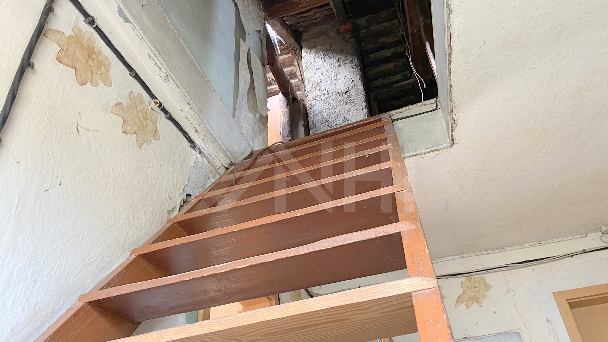 29_nachhause-immobilien_45f65188-b2eb-4fb4-8d14-202f11e71ceb_bild Optimal f&uuml;r eine junge Familie, die das Wohnen im Gr&uuml;nen sch&auml;tzt ... Kleines Einfamilienhaus auf gro&szlig;em Grundst&uuml;ck