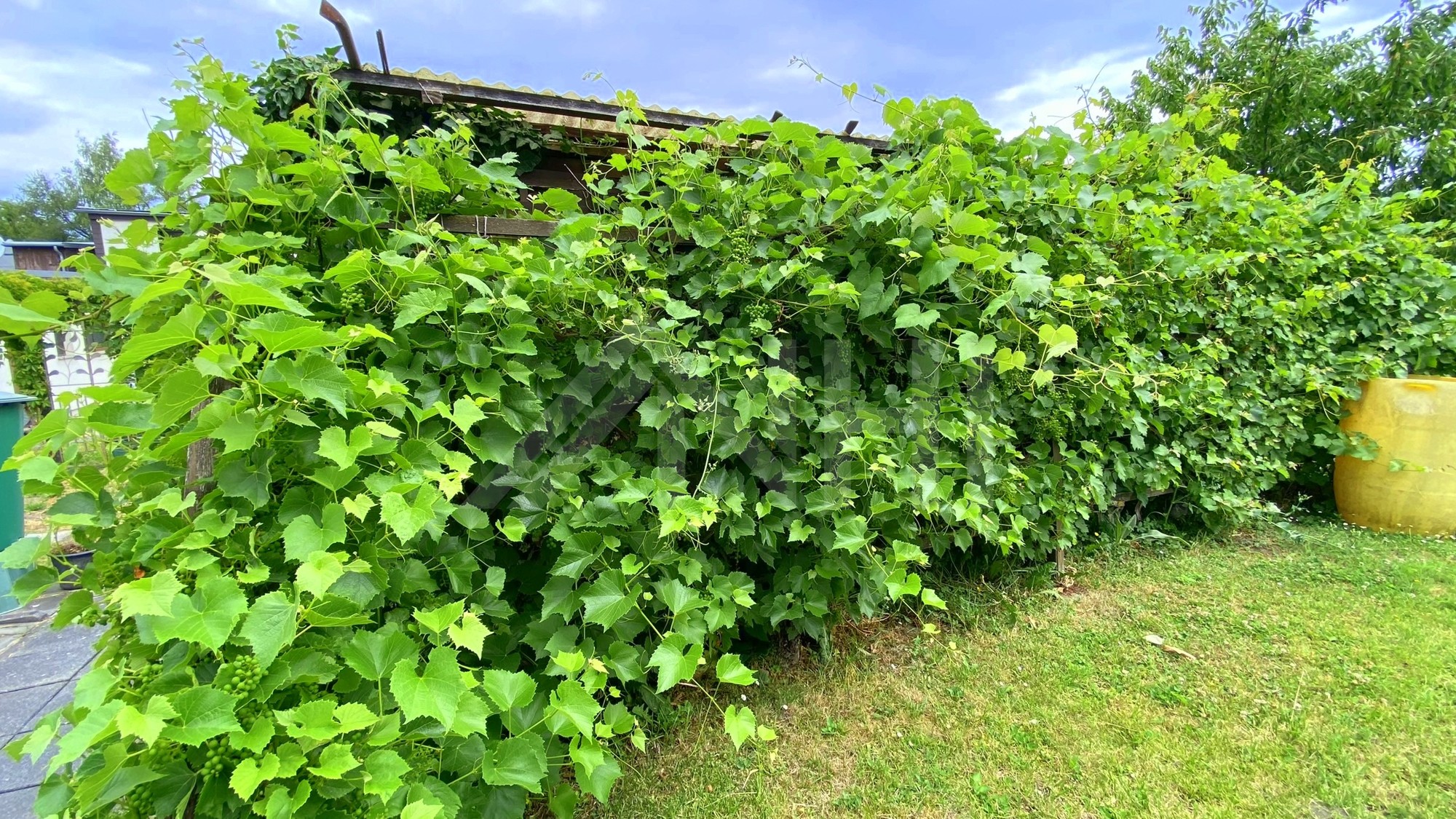 04_nachhause-immobilien_6abf5982-73ba-466c-91bd-2cdfc14d3174_bild Zuhause ankommen ... Ihr neues Familienidyll in Weißenfels auf großem Grundstück