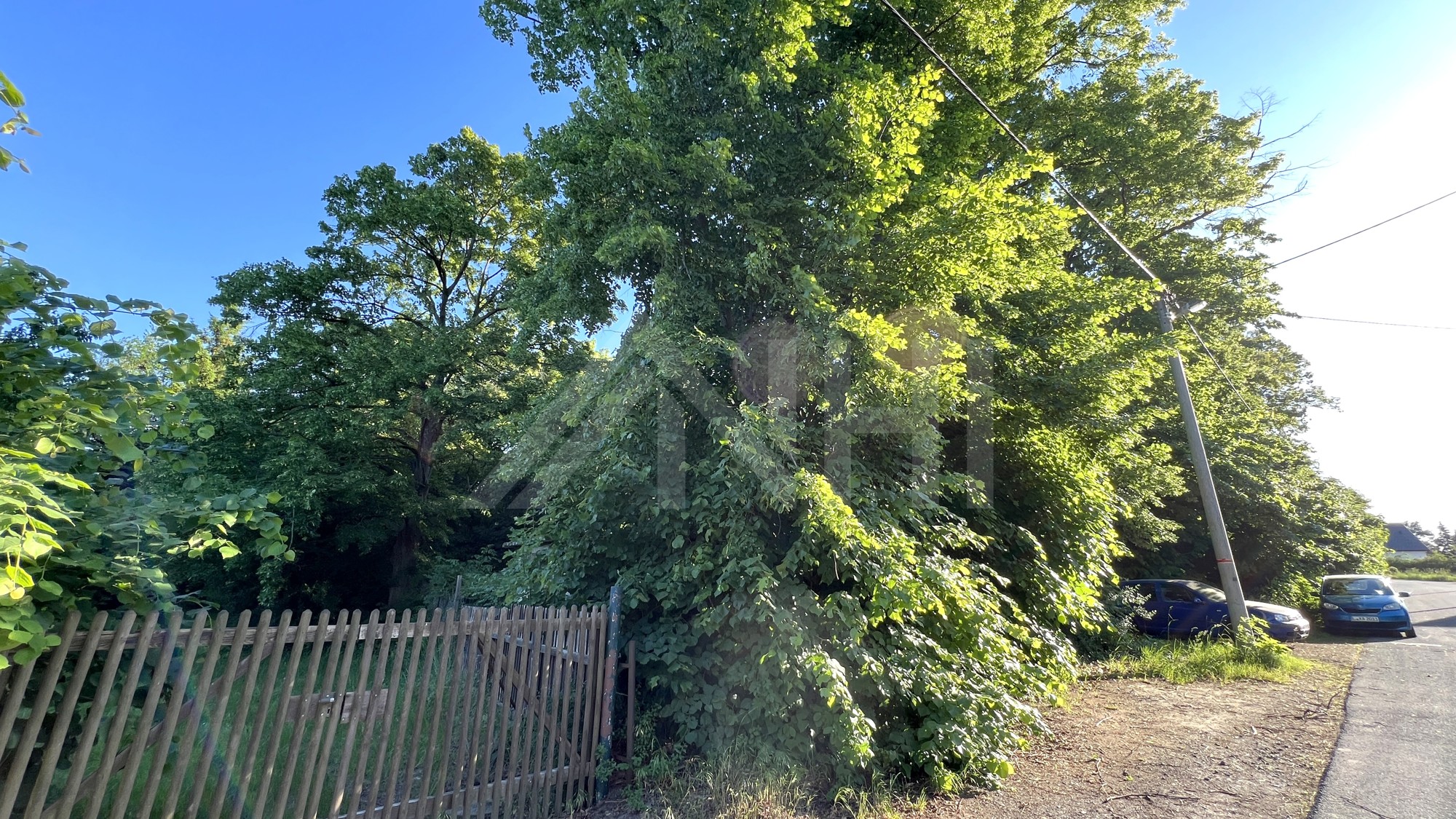 02_nachhause-immobilien_f6016ab0-1b37-4443-ae07-7037efd608f6_bild Attraktives Flächenpaket am Nepperwitzer Weg ... Erholung, Baufläche & Verkehrserschließung in Machern