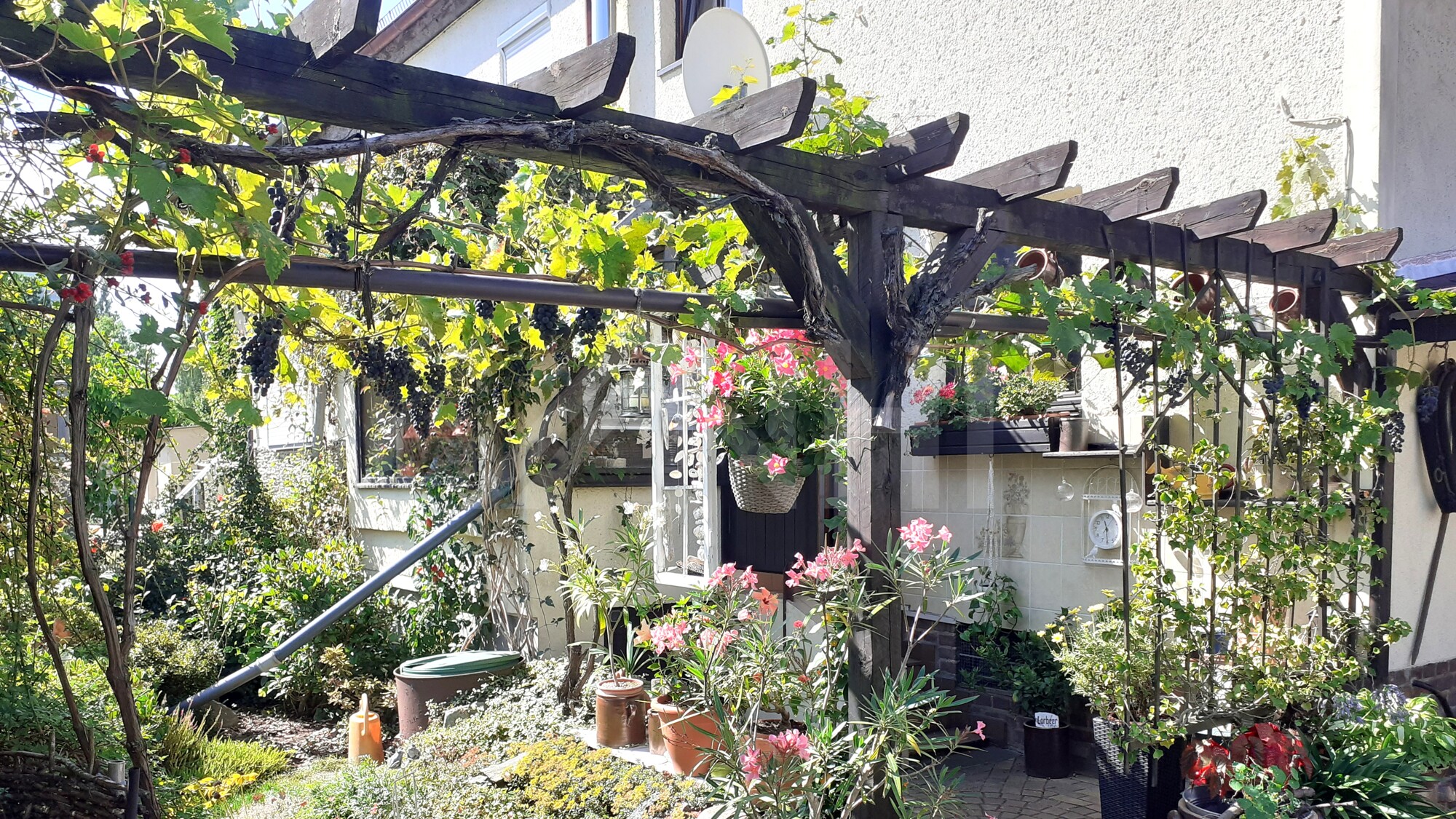 03_nachhause-immobilien_57e68aaf-284e-46d9-9b7c-986a9c6c5996_bild Ein Ort, an dem sich das Leben angenehm entschleunigt ... Einfamilienhaus mit Gartenidylle, Garage und Raum für individuelle Renovierungswünsche