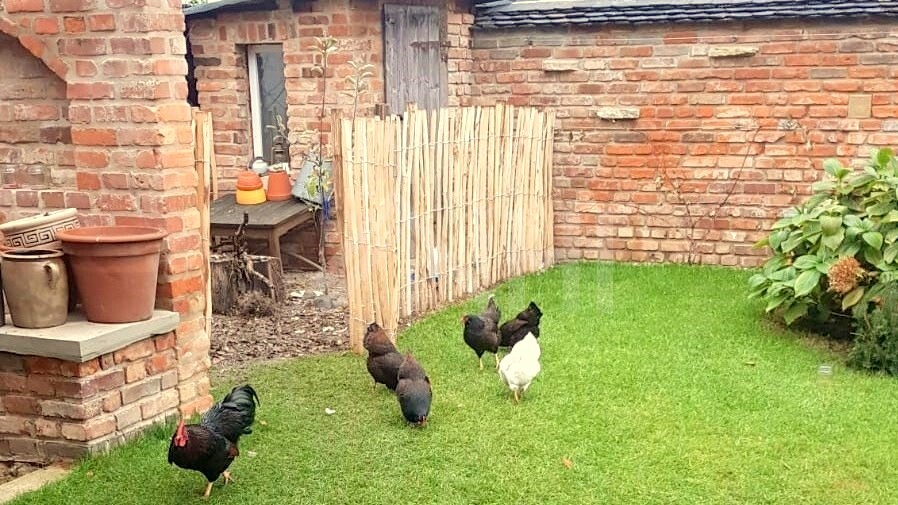 Ein gem&uuml;tliches Dorf im Landkreis Leipzig ... Kleines Haus in der Kleinstadt Groitzsch