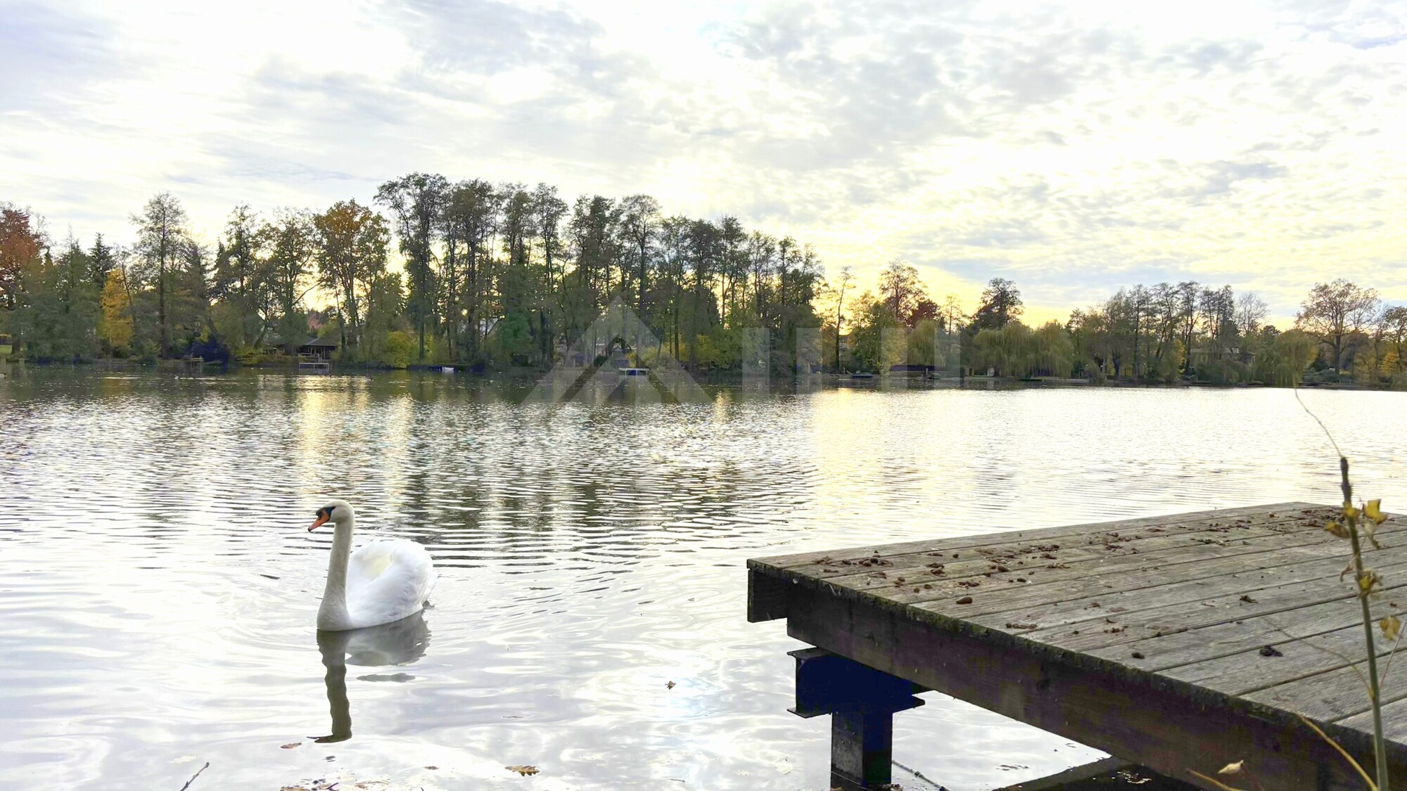 02_nachhause-immobilien_755dfffe-7126-4175-b646-dcfe97cb9ed8_bild Ein außergewöhnlich reizvolles Wohnumfeld ... Großzügiges Wohnen mit direktem Seezugang