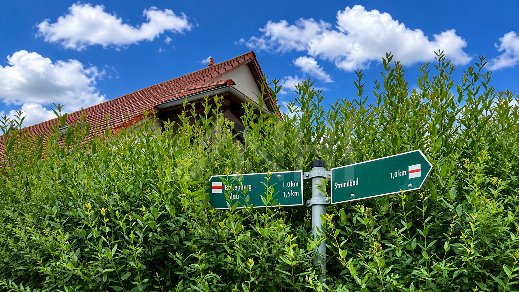 25_nachhause-immobilien_3985d720-3721-4b7e-ae8b-af123d37c83f_bild Ein Pinselstrich vom Traumhaus entfernt ... Zweitwohnsitz oder Ferienhaus am Schwielochsee